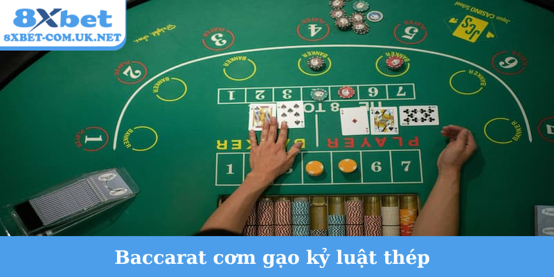 Baccarat cơm gạo kỷ luật thép