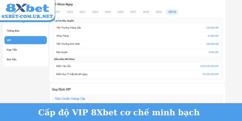 Cấp độ VIP 8Xbet cơ chế minh bạch