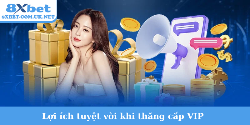 Lợi ích tuyệt vời khi thăng cấp VIP